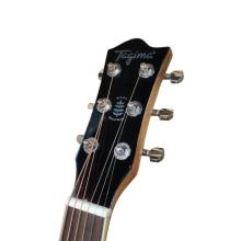 GUITARRA ACUSTICA WS-40 EQ NT WALNUT SERIES TAGIMA