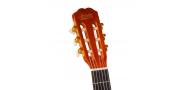 GUITARRA CLASICA ELECTROACUSTICA C-FUNDA 39 PULG. ACCACIA