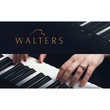 PIANO DIGITAL DK-100B BR WALTERS