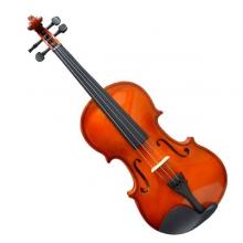 VIOLIN 4-4 CLASIC FRV50 FREEMAN